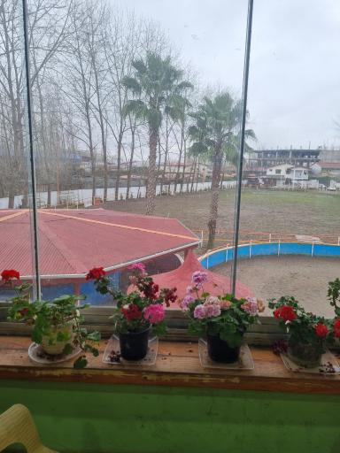 عکس باشگاه سوارکاری تکتاز