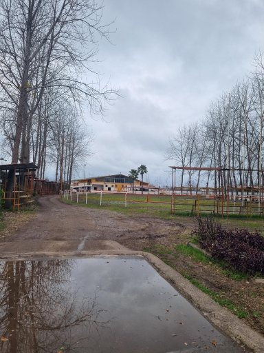 عکس باشگاه سوارکاری تکتاز