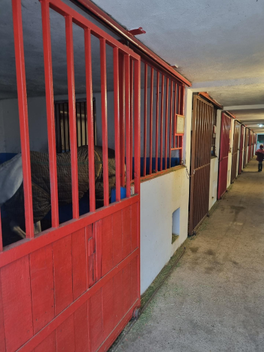 عکس باشگاه سوارکاری تکتاز