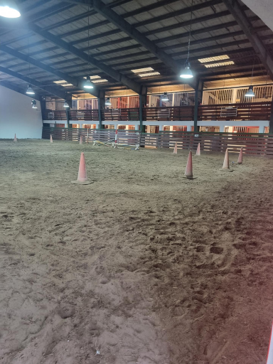 عکس باشگاه سوارکاری تکتاز