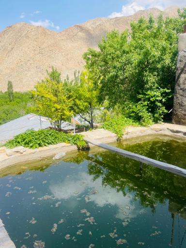عکس اقامتگاه حبیب