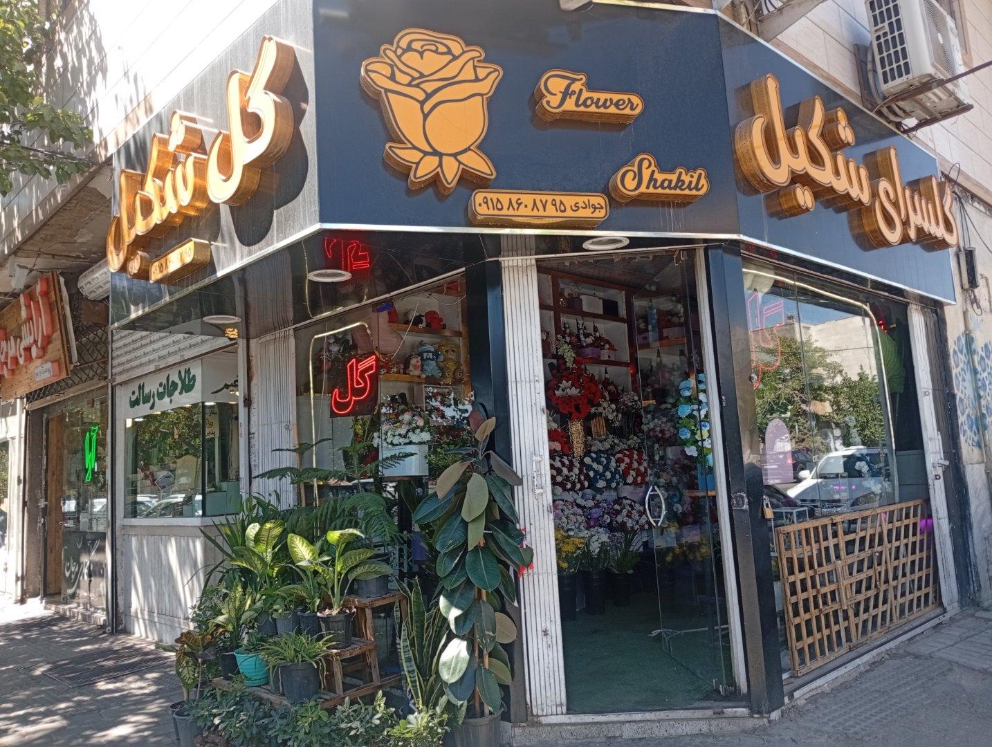 عکس گلسرای شکیل