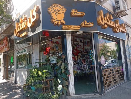 عکس گلسرای شکیل