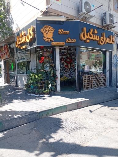 عکس گلسرای شکیل