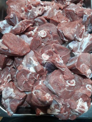 عکس پروتیئنی هوشنگ رجبی