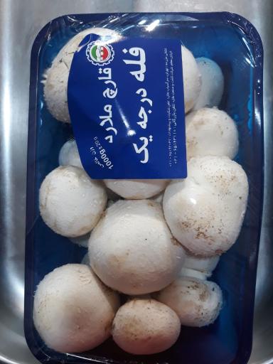 عکس پروتیئنی هوشنگ رجبی