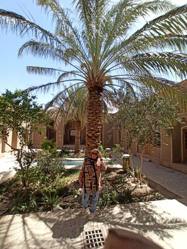 عکس عمارت کلاه فرنگی ارگ بم