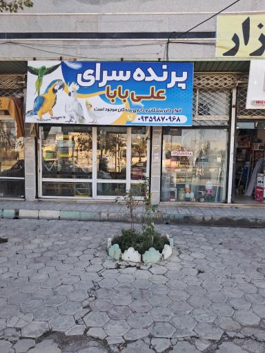 عکس پرنده سرای علی بابا