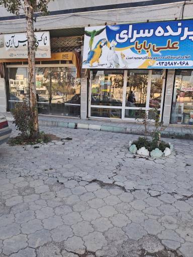 عکس پرنده سرای علی بابا