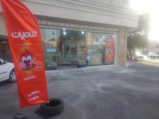 عکس مرغ سمین