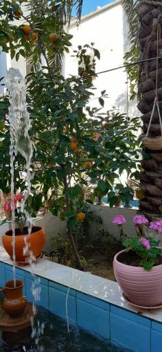 عکس اقامتگاه بومگردی سرای تاریخی بهروزیان