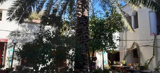 عکس اقامتگاه بومگردی سرای تاریخی بهروزیان