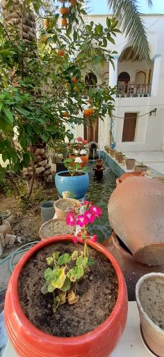 عکس اقامتگاه بومگردی سرای تاریخی بهروزیان