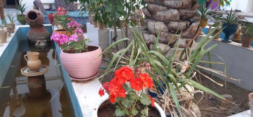 عکس اقامتگاه بومگردی سرای تاریخی بهروزیان