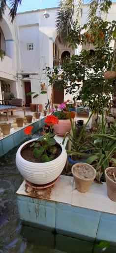 عکس اقامتگاه بومگردی سرای تاریخی بهروزیان