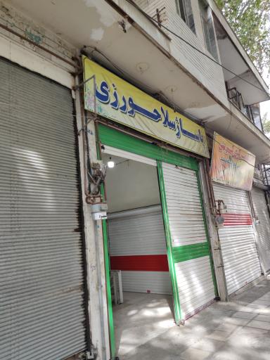 پاساژ سلاحورزی