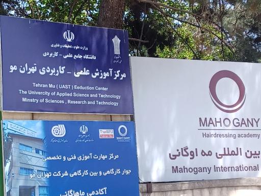 عکس شرکت تهران مو