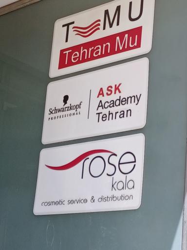 عکس شرکت تهران مو