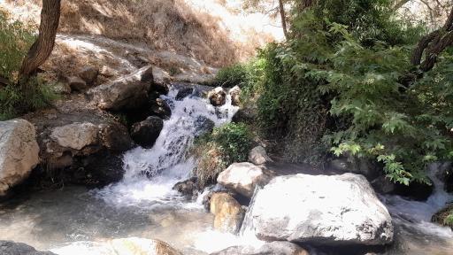 عکس صحنه