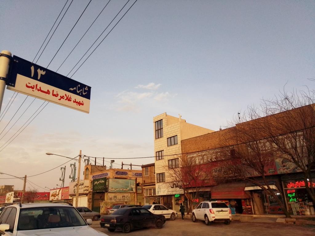 عکس کود و سم آفتابگردان