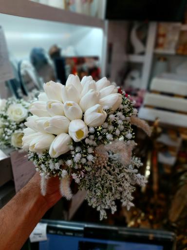 عکس گل ونوس