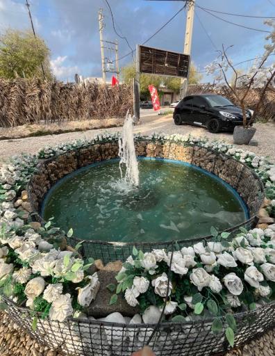 عکس رستوران ولیعصر 