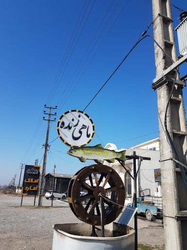 عکس بازارچه ماهی ماهان