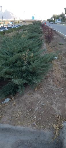 عکس پارکینگ بوستان آبشار