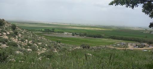 عکس بند آب کلوچه