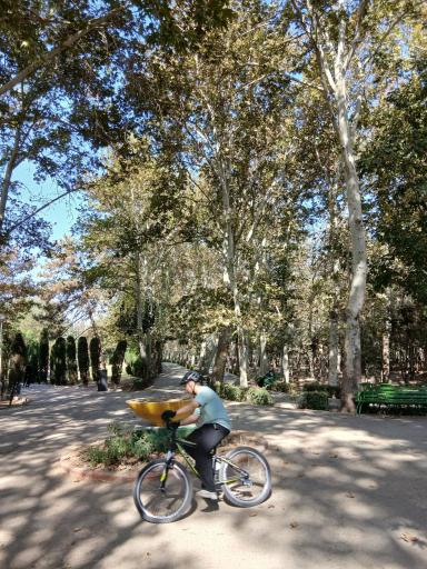 عکس حوضچه پارک لاله