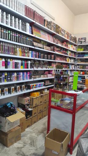 عکس آرایشی کاکتوس