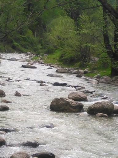 عکس چشمه مین تخته