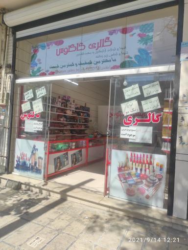 عکس آرایشی کاکتوس