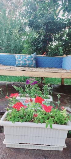 عکس باغ رستوران شمرون