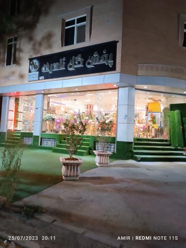 عکس گل فروشی نادری