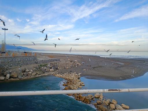 اسکله سنگی ساحل نور