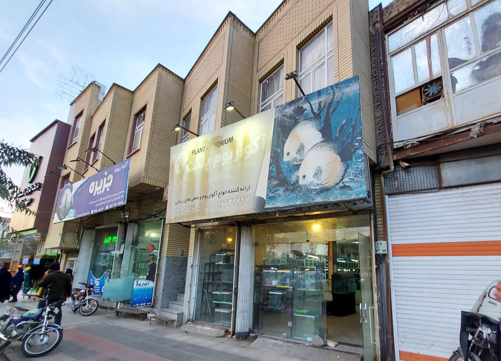 عکس آکواریوم پلنت