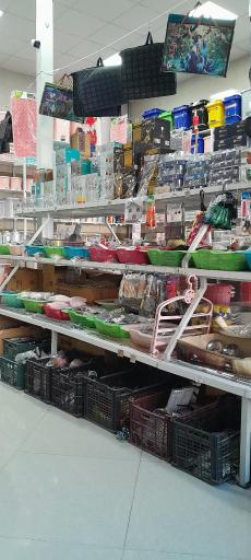 عکس پلاسکو کریمی