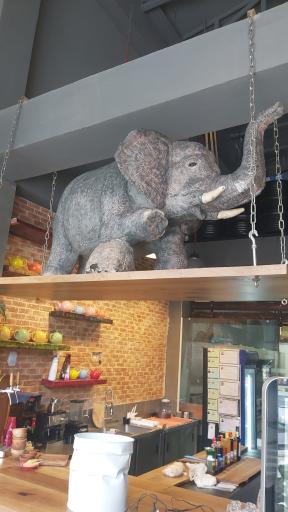 عکس فست فود ایتالیایی ایوان