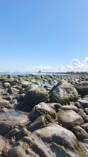 عکس اسکله سنگی ساحل نور