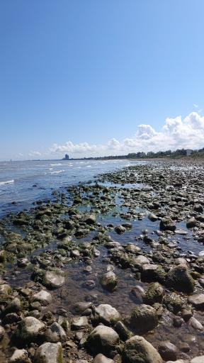 عکس اسکله سنگی ساحل نور