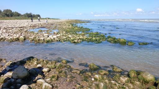 عکس اسکله سنگی ساحل نور