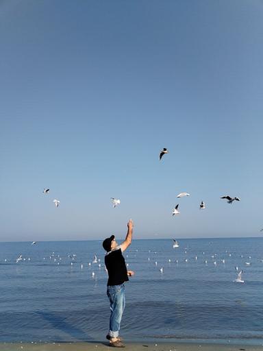 عکس اسکله سنگی ساحل نور