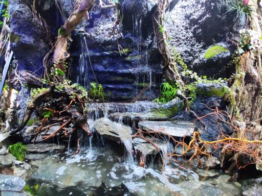 عکس فروشگاه دکتر پلنت - DrPlant