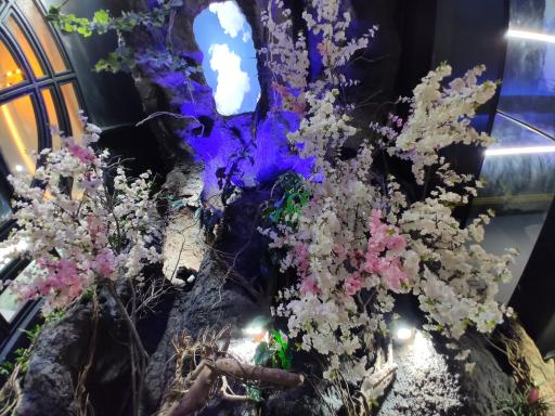 عکس فروشگاه دکتر پلنت - DrPlant