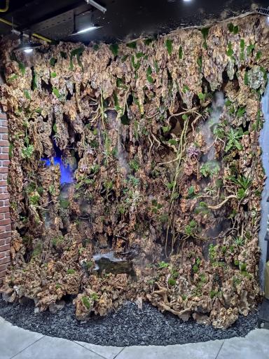 عکس فروشگاه دکتر پلنت - DrPlant