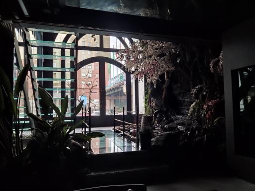 عکس فروشگاه دکتر پلنت - DrPlant