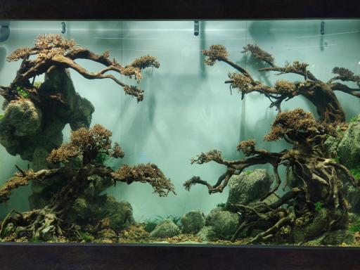 عکس فروشگاه دکتر پلنت - DrPlant