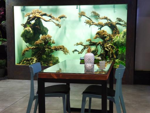 عکس فروشگاه دکتر پلنت - DrPlant