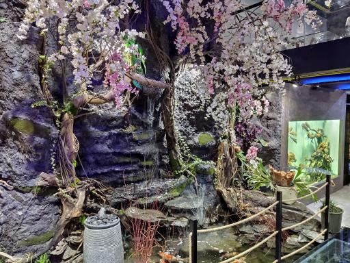 عکس فروشگاه دکتر پلنت - DrPlant